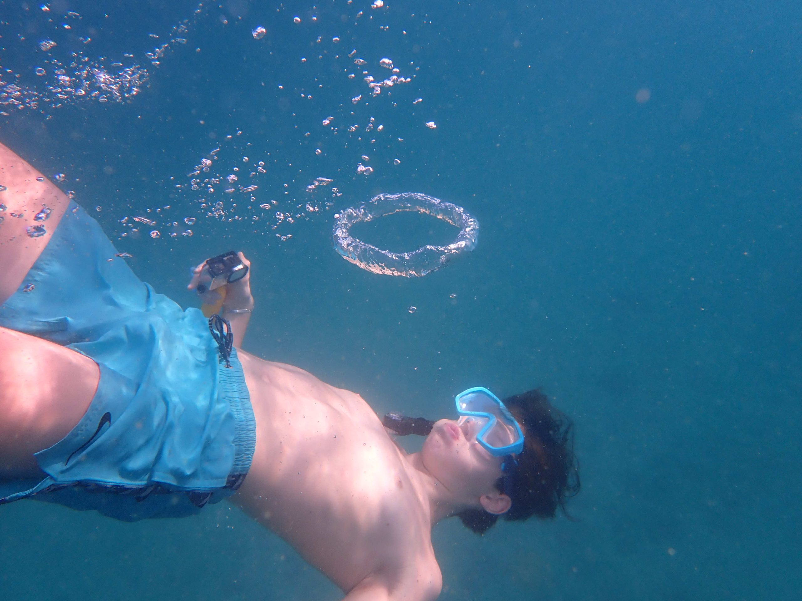 0f3405cf-3772-4795-aa62-48ea7c40d59d