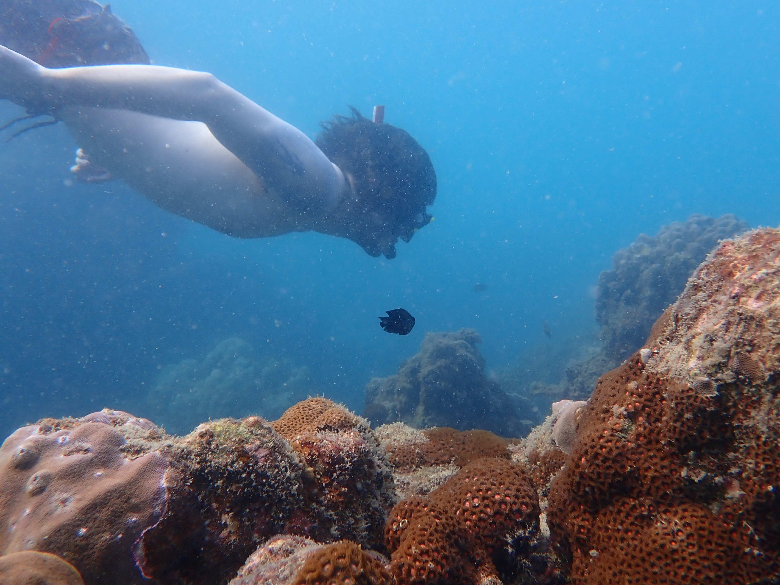 44d2286b-ed2d-48ea-bb7e-597be13b5dec