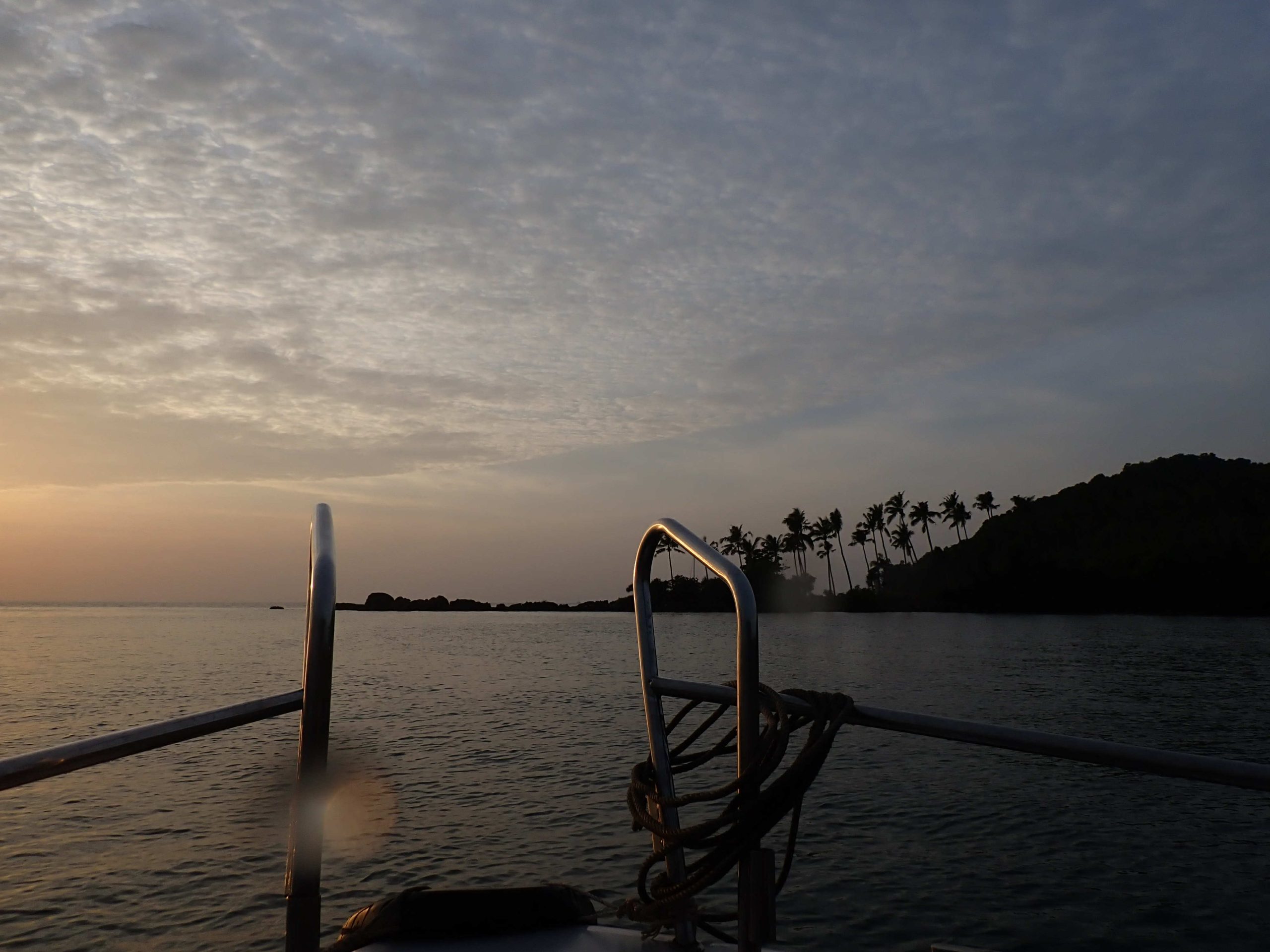 55430789-2a85-42c8-b7bd-b3bc57642f11