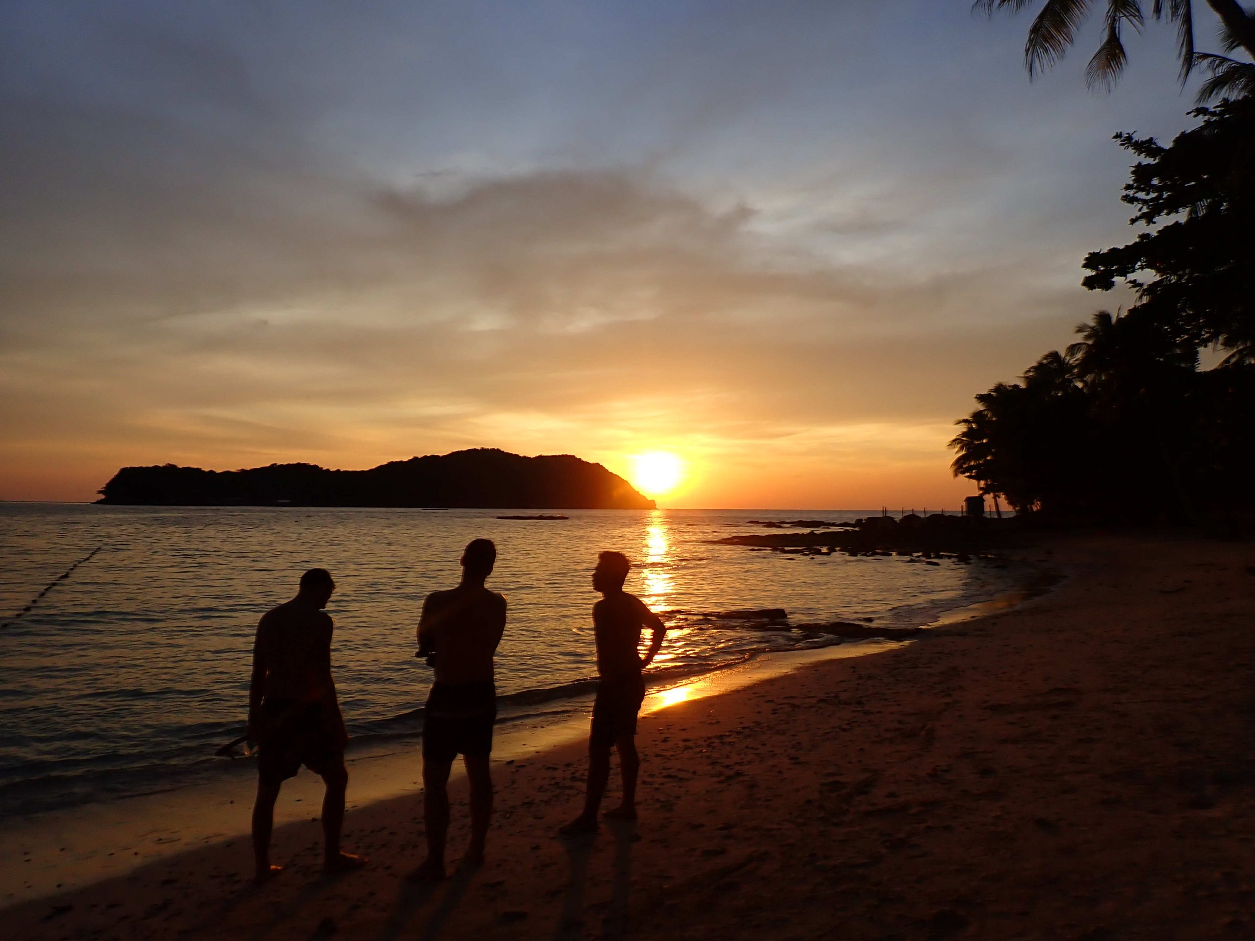 995858c7-add8-4efc-b175-00de25d2749c