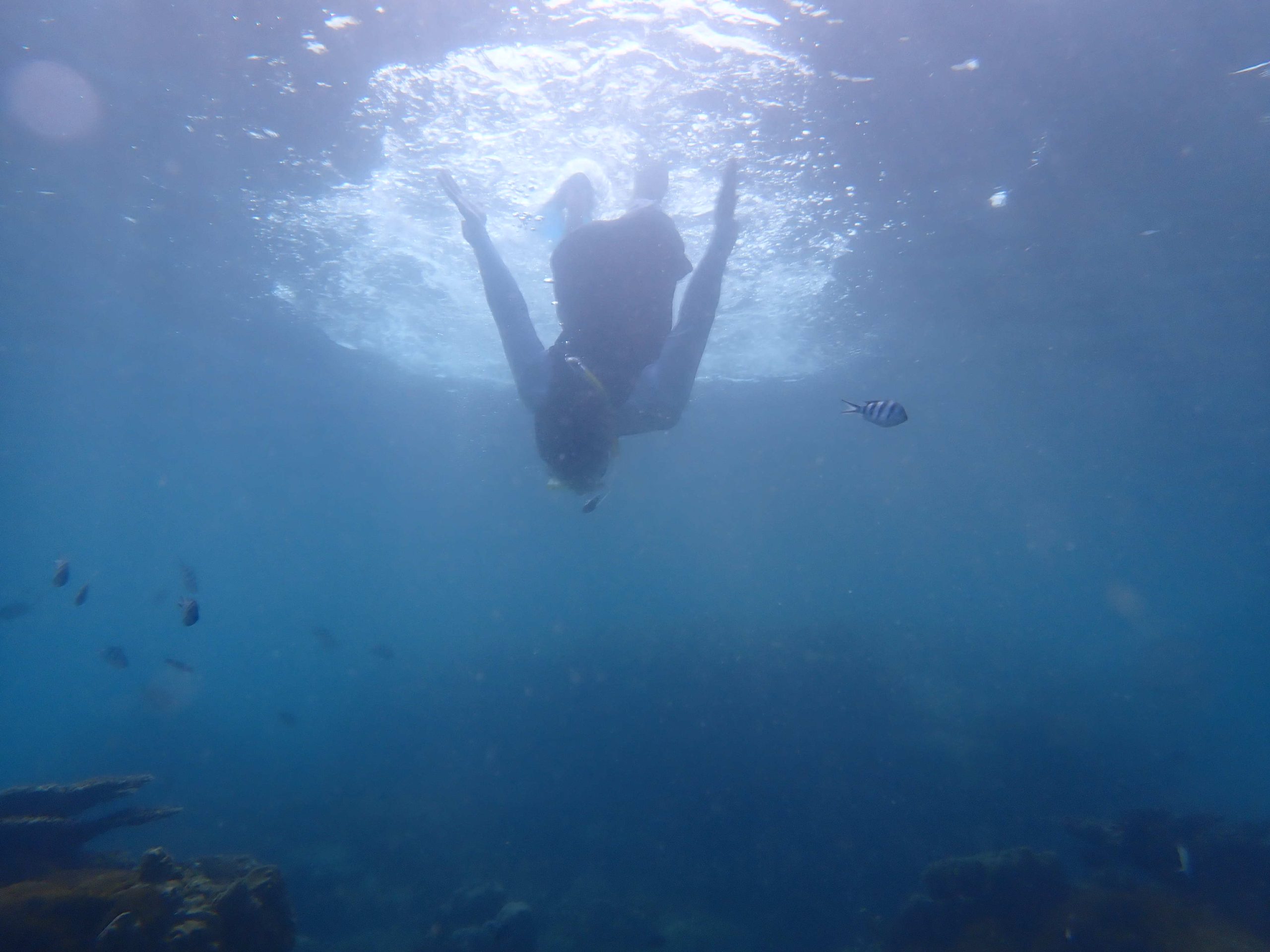 a1f4bc4b-90f8-40fd-83cc-47d966baaada