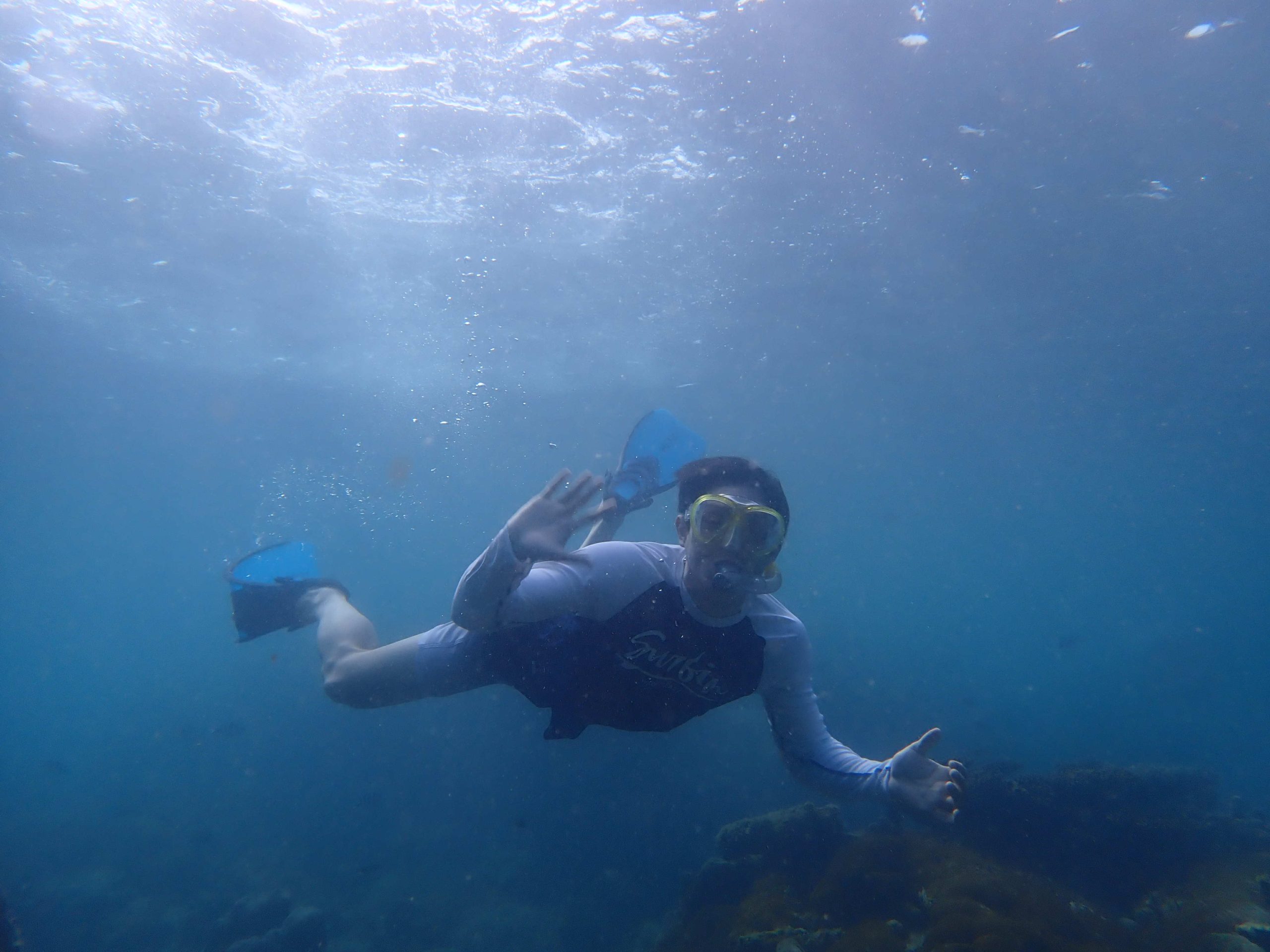 d4ed5e17-4ec5-45c2-be2b-c54e29d6b832