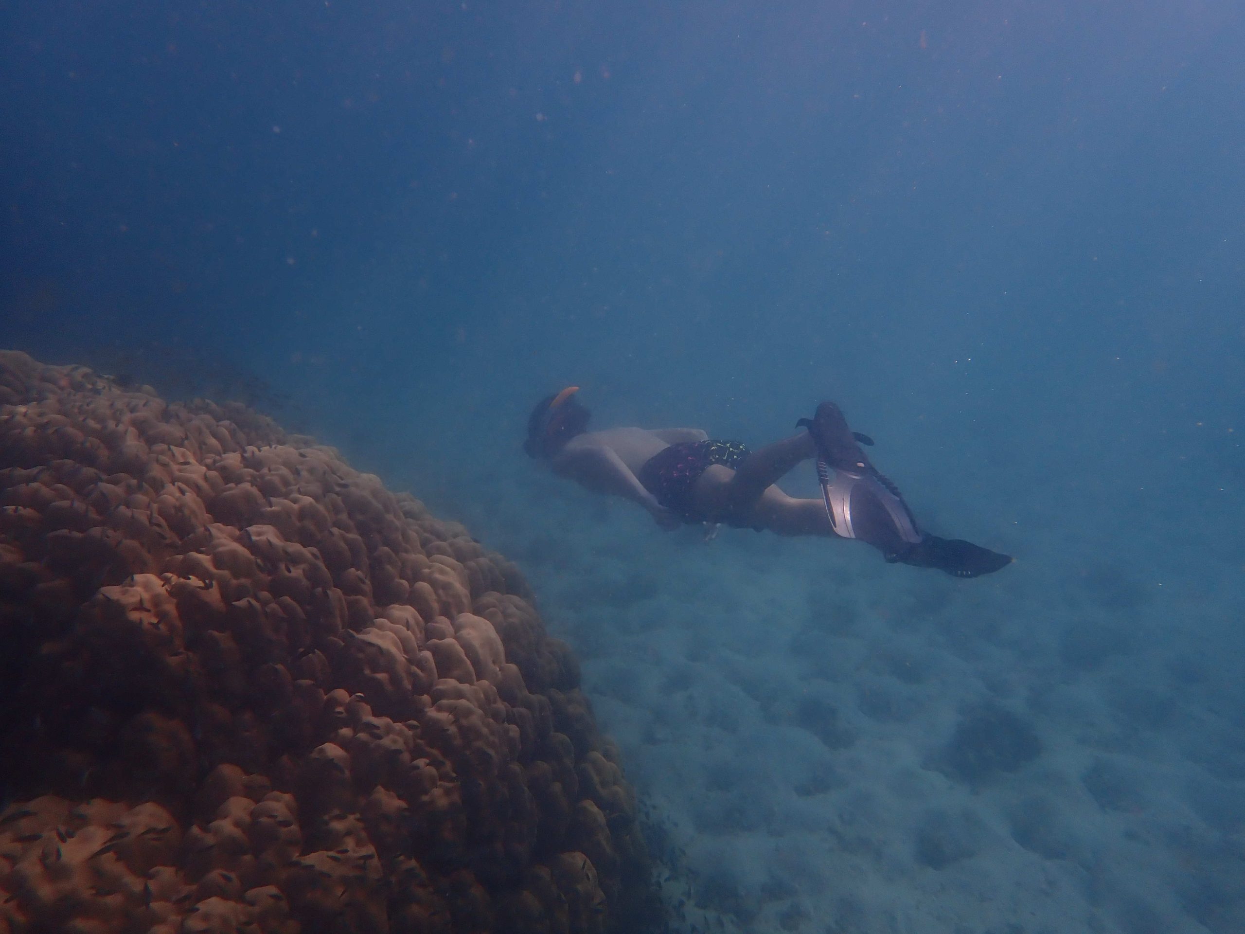 dcbcd2b7-8fe5-4e20-8f05-3f09d68de125