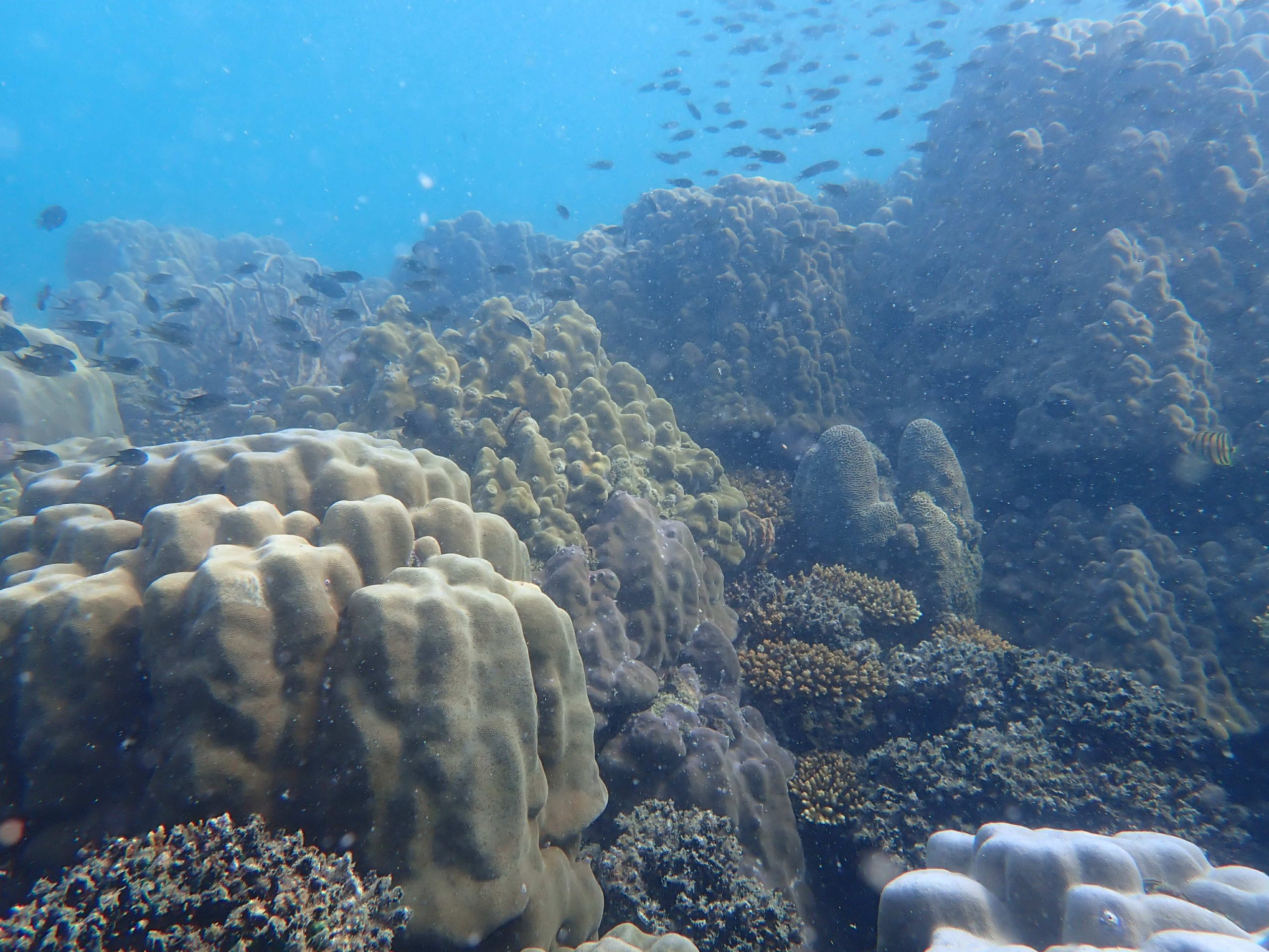 f6da18e0-69aa-4a0c-9e70-fc370c71bb79