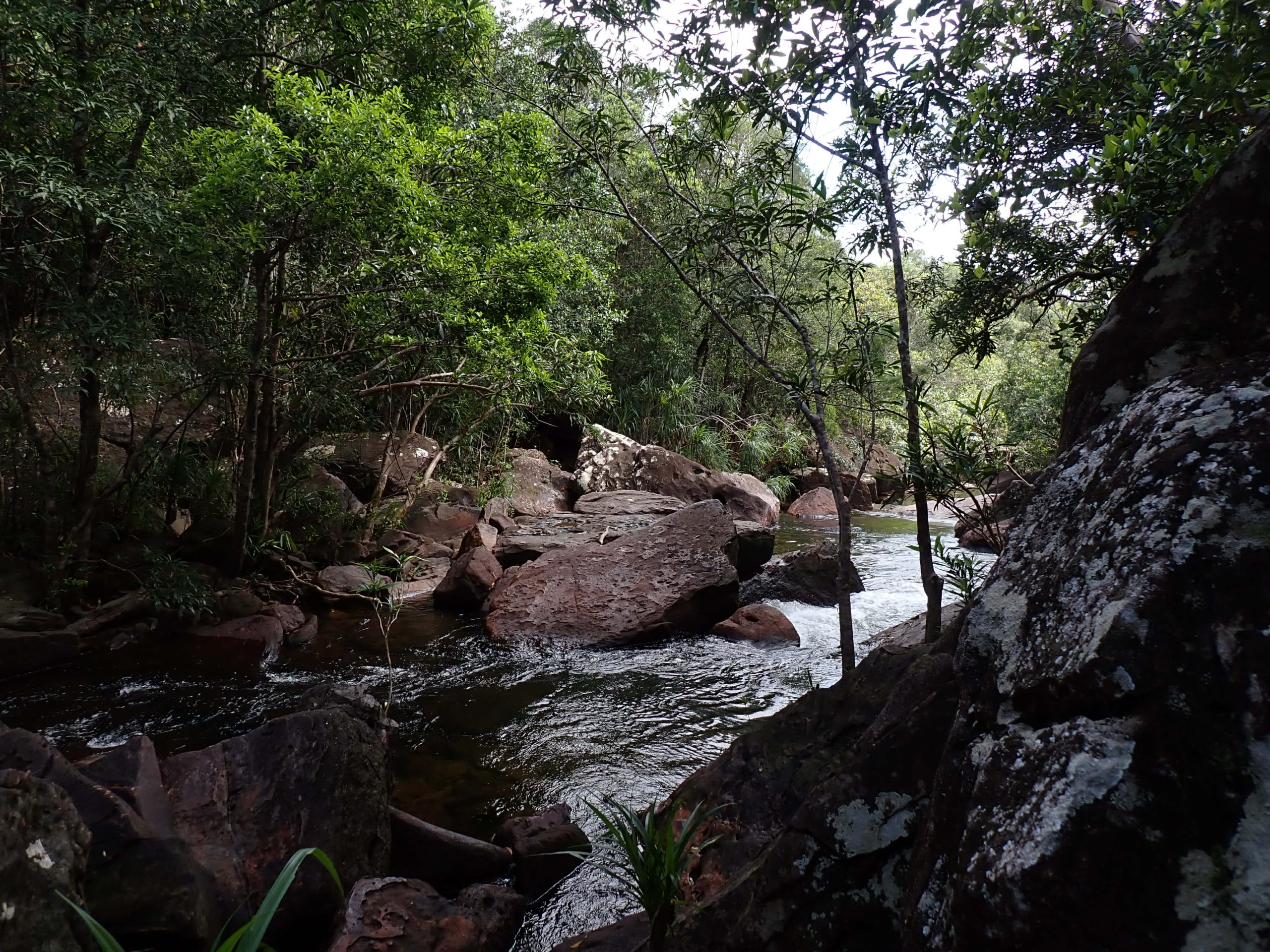 28a2d792-7250-498f-96de-6f41c62c2c01