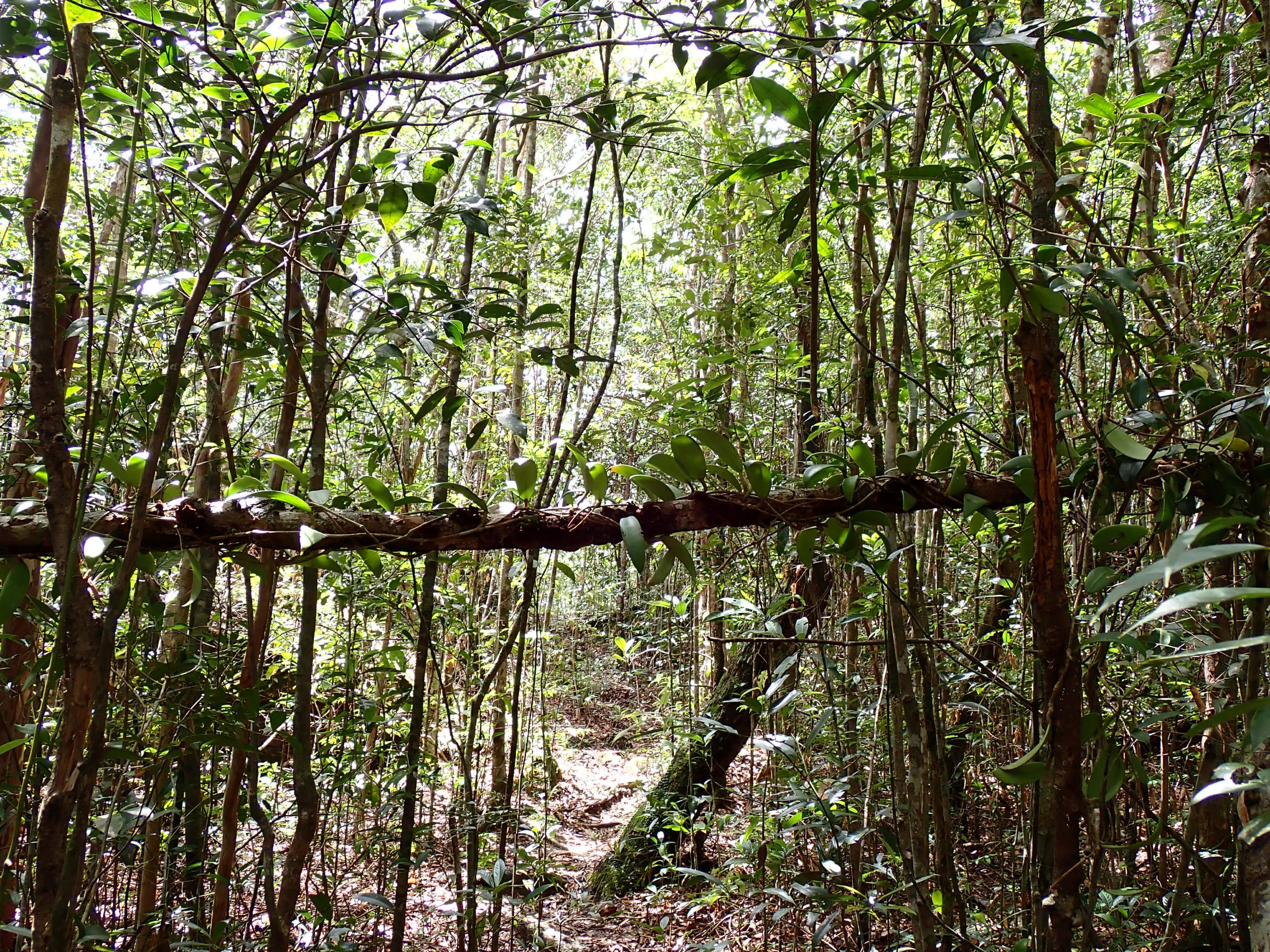 5c13a70a-a1ca-47c2-9b16-c704ba9acdee