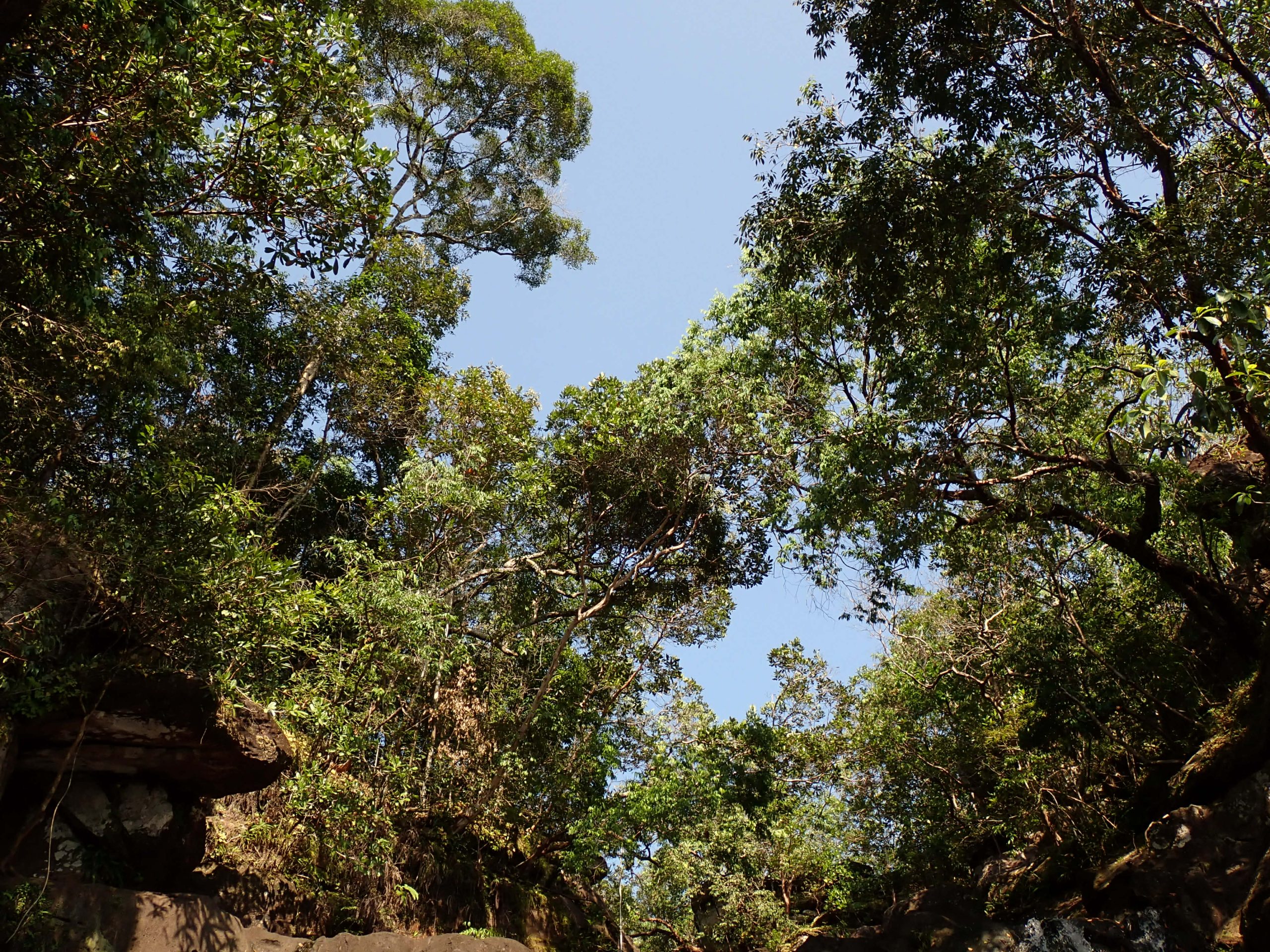 683d7d9b-f0cc-4f88-9f81-36327031e60b