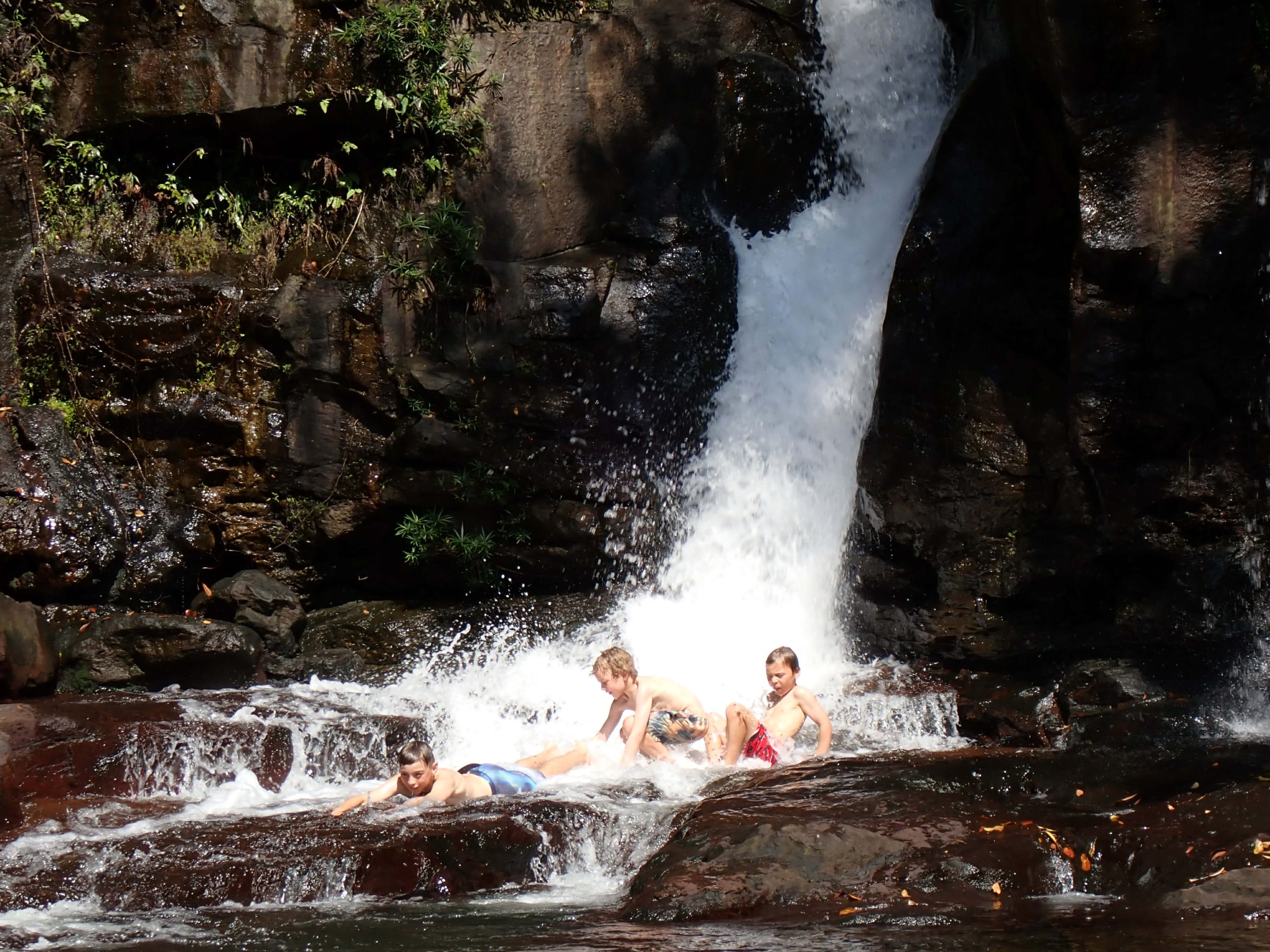 8b56ea54-a4c0-4e55-a511-de65b58988e5