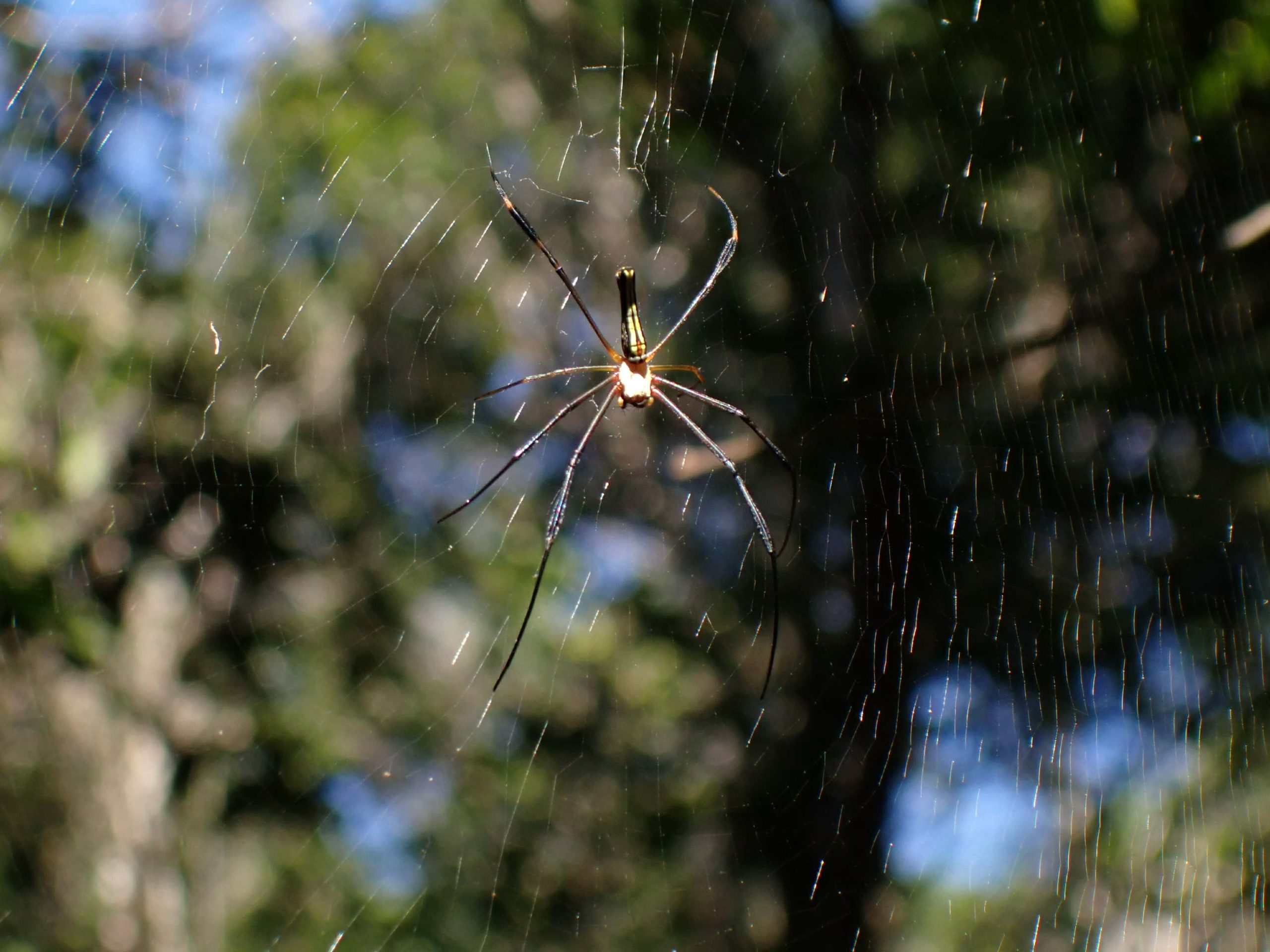 9455aadf-99ba-4b91-8d40-05f9c585d9e3